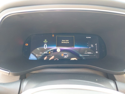 Renault Arkana Gebrauchtwagen