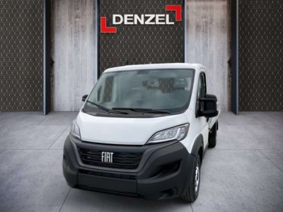 Fiat Ducato Vorführwagen