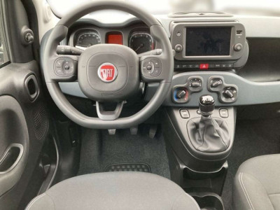 Fiat Panda Vorführwagen