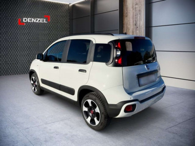 Fiat Panda Gebrauchtwagen