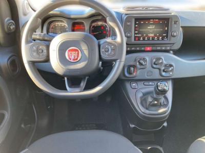 Fiat Panda Gebrauchtwagen