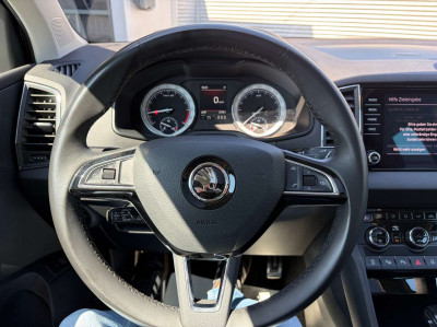 Skoda Karoq Gebrauchtwagen