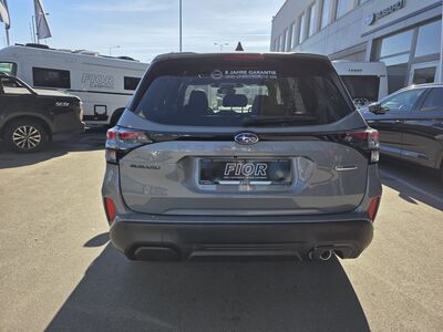 Subaru Forester Vorführwagen Subaru Forester Vorführwagen