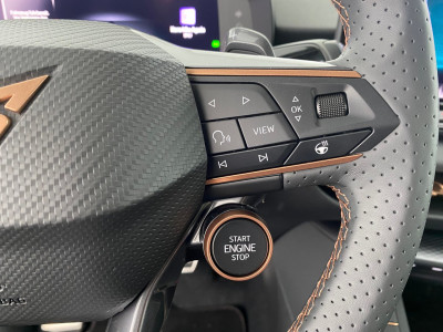 Cupra Terramar Gebrauchtwagen Cupra Terramar Gebrauchtwagen