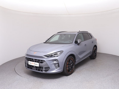 Cupra Terramar Gebrauchtwagen Cupra Terramar Gebrauchtwagen