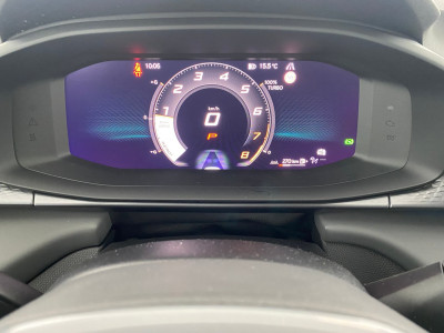 Cupra Terramar Gebrauchtwagen Cupra Terramar Gebrauchtwagen