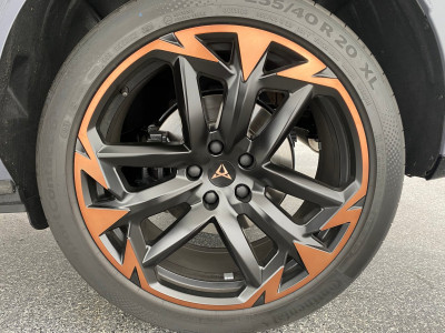 Cupra Terramar Gebrauchtwagen Cupra Terramar Gebrauchtwagen