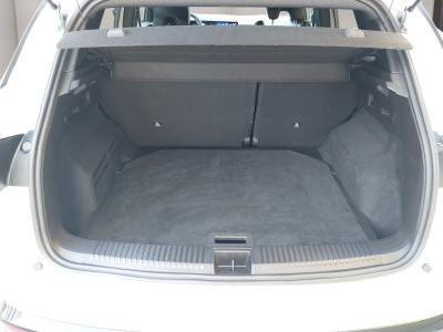 Renault Austral Gebrauchtwagen