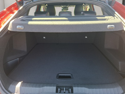Renault Arkana Gebrauchtwagen