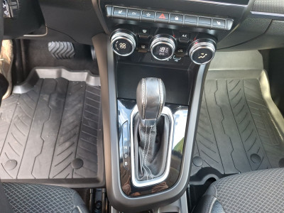 Renault Arkana Gebrauchtwagen