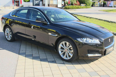 Jaguar XF Gebrauchtwagen