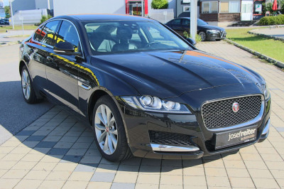 Jaguar XF Gebrauchtwagen