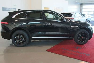 Jaguar F-Pace Gebrauchtwagen