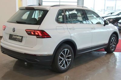 VW Tiguan Gebrauchtwagen