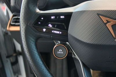 Cupra Born Gebrauchtwagen