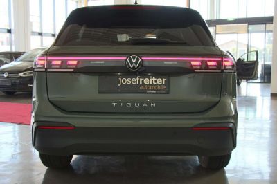 VW Tiguan Gebrauchtwagen VW Tiguan Gebrauchtwagen