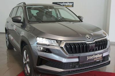 Skoda Karoq Gebrauchtwagen