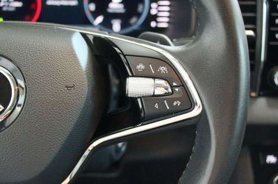 Skoda Karoq Gebrauchtwagen Skoda Karoq Gebrauchtwagen
