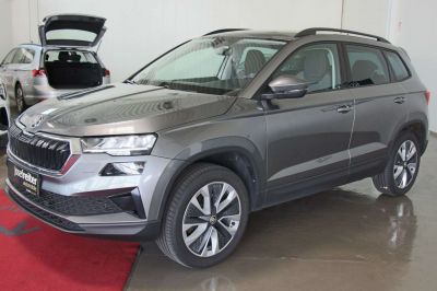 Skoda Karoq Gebrauchtwagen Skoda Karoq Gebrauchtwagen
