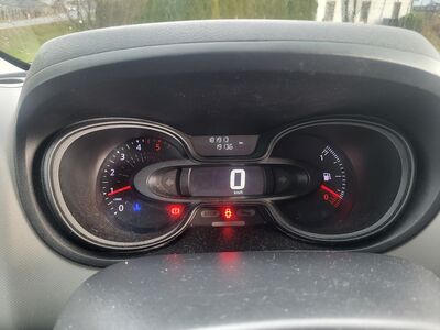 Renault Trafic Gebrauchtwagen