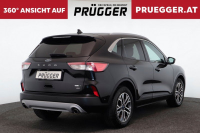 Ford Kuga Gebrauchtwagen