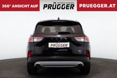 Ford Kuga Gebrauchtwagen