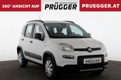 Fiat Panda Gebrauchtwagen Fiat Panda Gebrauchtwagen