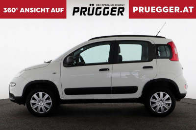 Fiat Panda Gebrauchtwagen Fiat Panda Gebrauchtwagen