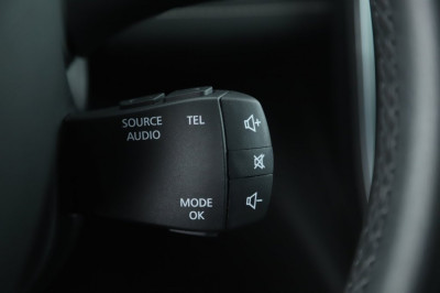 Renault Scénic Gebrauchtwagen