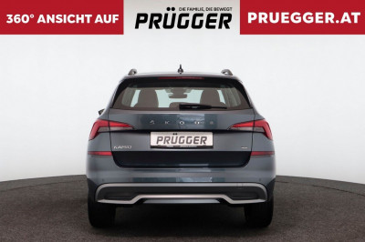 Skoda Kamiq Gebrauchtwagen Skoda Kamiq Gebrauchtwagen