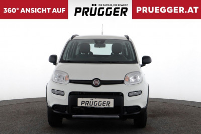 Fiat Panda Gebrauchtwagen Fiat Panda Gebrauchtwagen