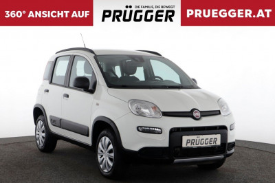 Fiat Panda Gebrauchtwagen Fiat Panda Gebrauchtwagen