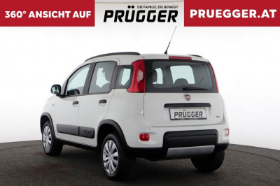 Fiat Panda Gebrauchtwagen Fiat Panda Gebrauchtwagen