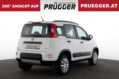 Fiat Panda Gebrauchtwagen Fiat Panda Gebrauchtwagen