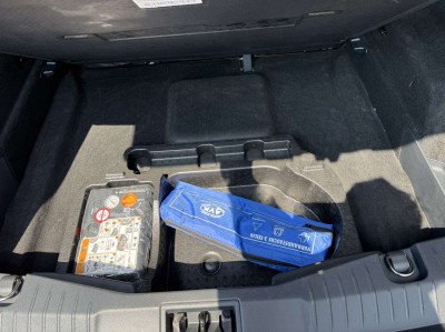 Ford Mustang Mach-E Gebrauchtwagen Ford Mustang Mach-E Gebrauchtwagen