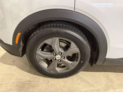 Ford Mustang Mach-E Gebrauchtwagen