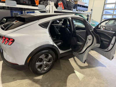 Ford Mustang Mach-E Gebrauchtwagen