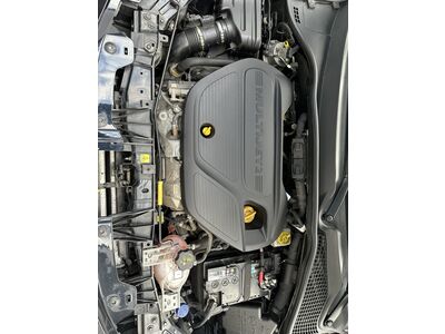 Fiat Tipo Gebrauchtwagen