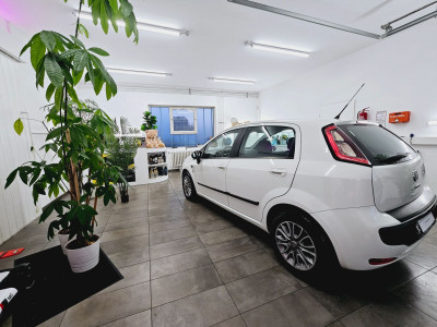 Fiat Punto Evo Gebrauchtwagen