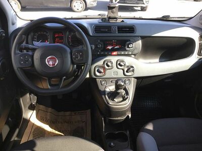 Fiat Panda Gebrauchtwagen