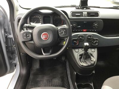 Fiat Panda Gebrauchtwagen