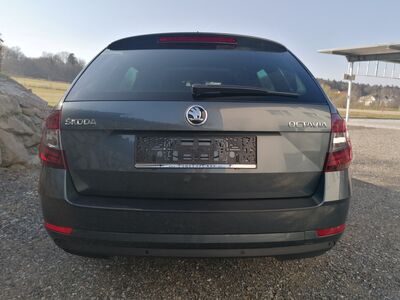 Skoda Octavia Gebrauchtwagen