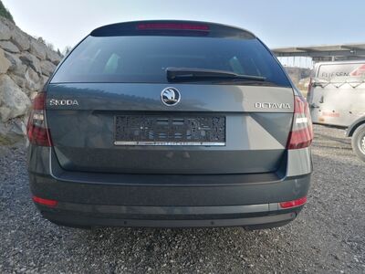 Skoda Octavia Gebrauchtwagen