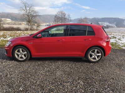 VW Golf Gebrauchtwagen
