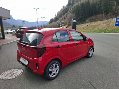 KIA Picanto Neuwagen