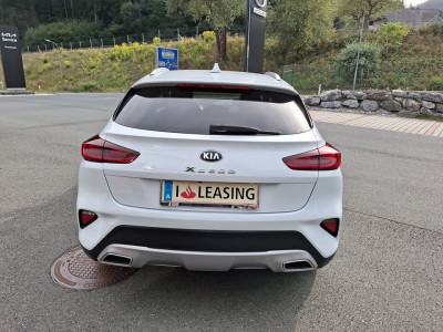 KIA XCeed Gebrauchtwagen KIA XCeed Gebrauchtwagen