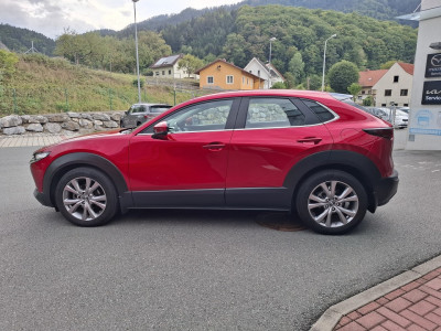 Mazda CX-30 Gebrauchtwagen Mazda CX-30 Gebrauchtwagen