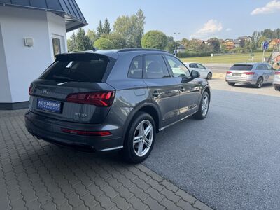 Audi Q5 Gebrauchtwagen