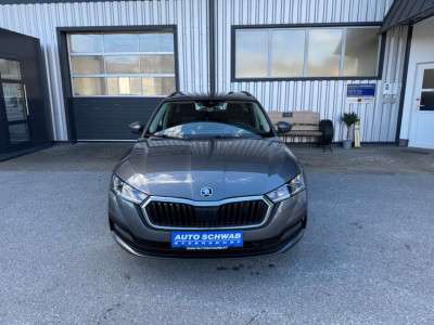 Skoda Octavia Gebrauchtwagen