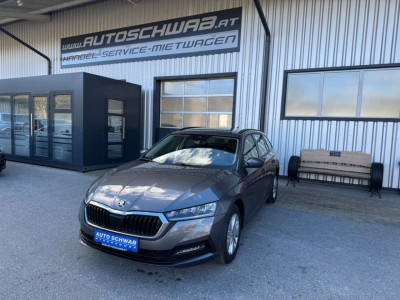 Skoda Octavia Gebrauchtwagen